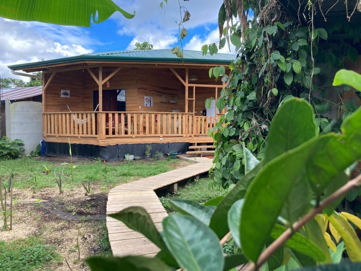 Bungalows Baobab San Isidro De El General エクステリア 写真